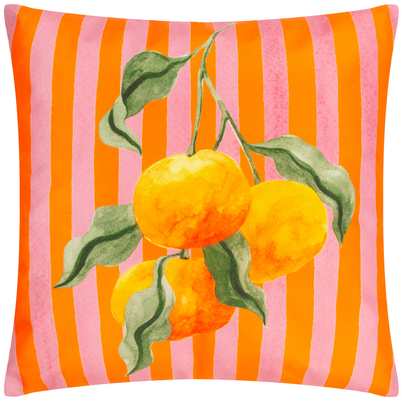 Floral Orange Cushions - Oranges Outdoor Cushion Cover Orange furn.