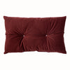 Paoletti Panther Velvet Ready Filled Cushion in OxBlood