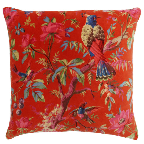 Paoletti Paradise Velvet Cushion Cover in Orange