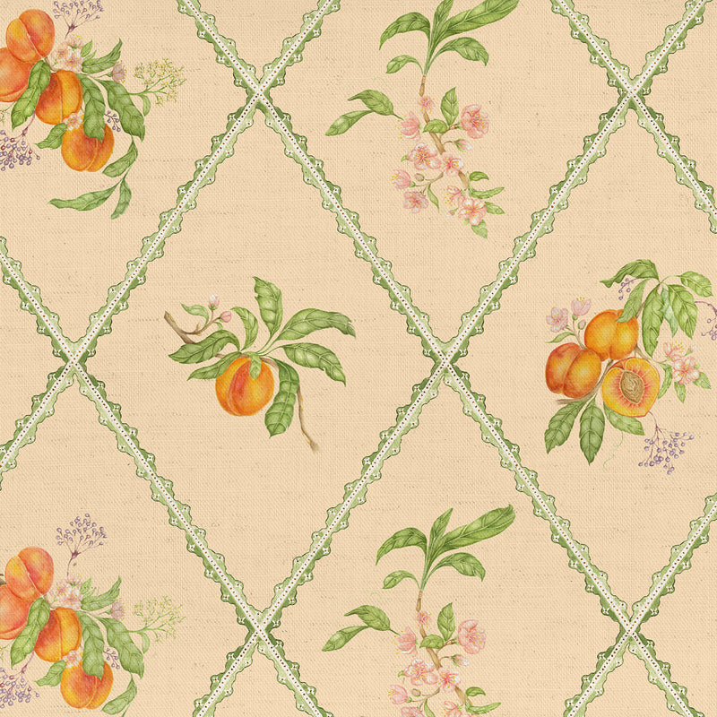  Fabric - Peach Trellis  Fabric Melba Voyage Maison