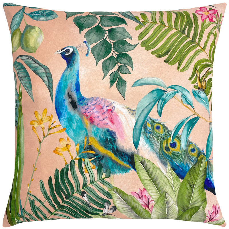 Evans Lichfield Peacock Outdoor Cushion Cover in Blush