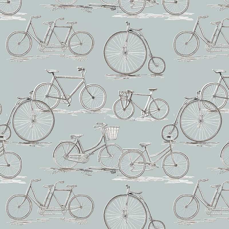 Penny Farthing Wallpaper Sample Duck Egg