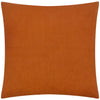  Cushions - Picking Patch  Cushion Cover Pumpkin furn.