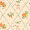  Wallpaper - Peach Trellis  1.4m Wide Width Wallpaer (By the Metre) Melba Voyage Maison