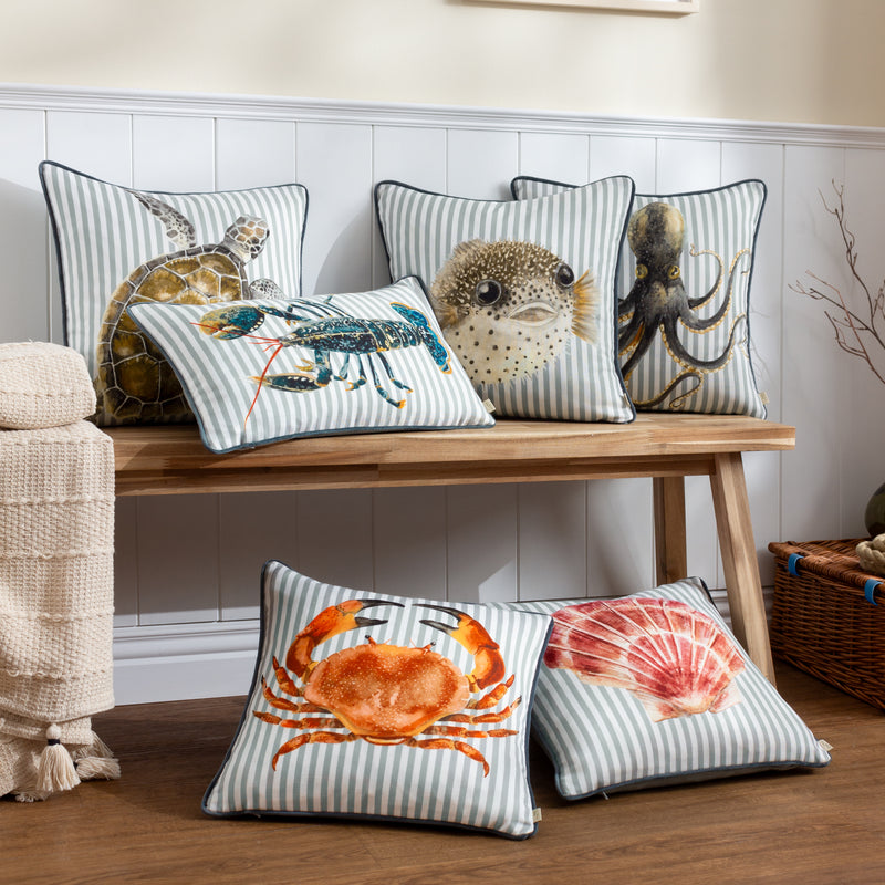 Animal Multi Cushions - Salcombe Turtle Piped Cushion Cover Multicolour Evans Lichfield