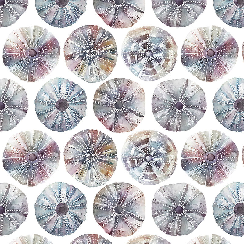 Sea Urchin Wallpaper Sample Abalone