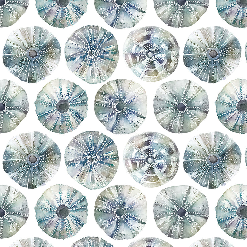 Sea Urchin Wallpaper Sample Slate