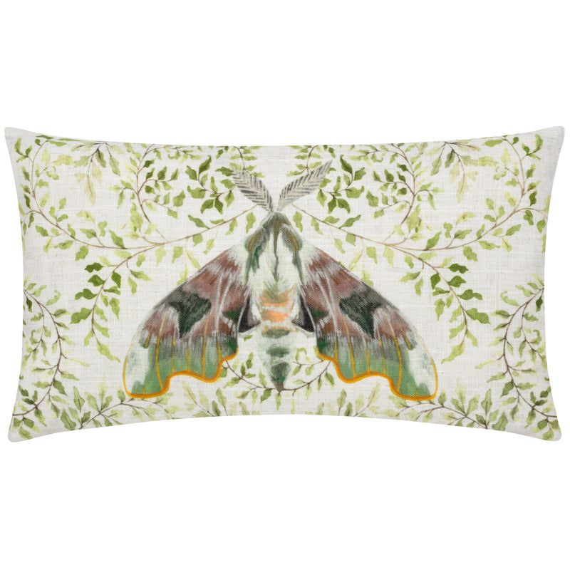 Animal Multi Cushions - Shugborough Moth Traditional Cushion Cover Multicolour Evans Lichfield