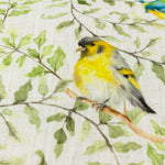 Animal Multi Cushions - Shugborough Birds Traditional Cushion Cover Multicolour Evans Lichfield