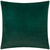 Striped Green Cushions - Savoy Stripe Velvet Cushion Cover Emerald Paoletti