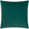 Striped Blue Cushions - Savoy Stripe Velvet Cushion Cover Teal Paoletti