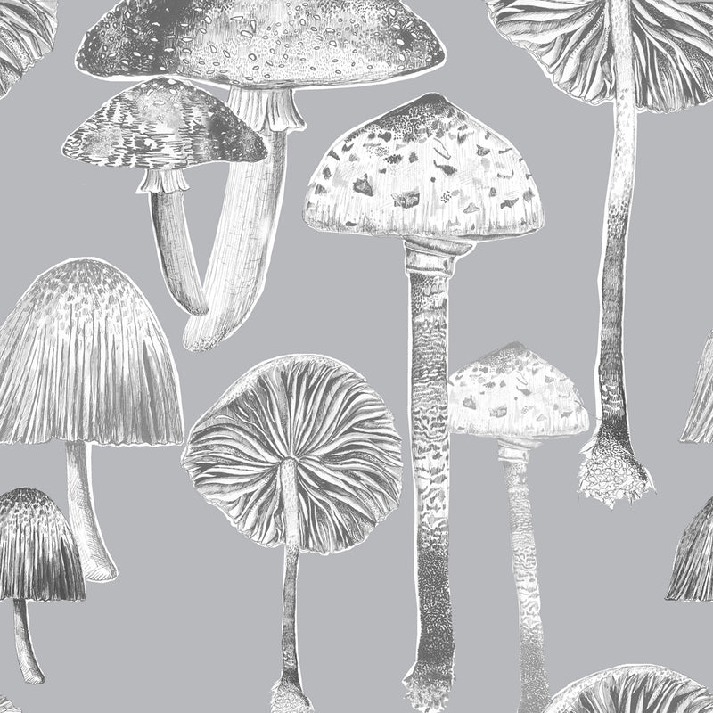 Toadstools Wallpaper Sample Charcoal