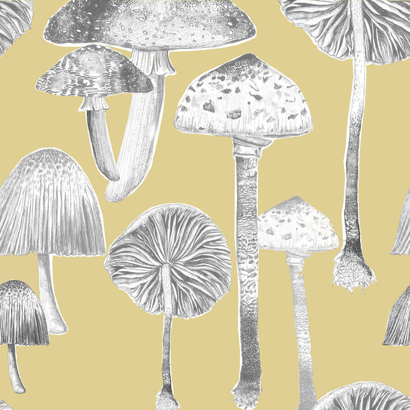 Toadstools Wallpaper Sample Corn