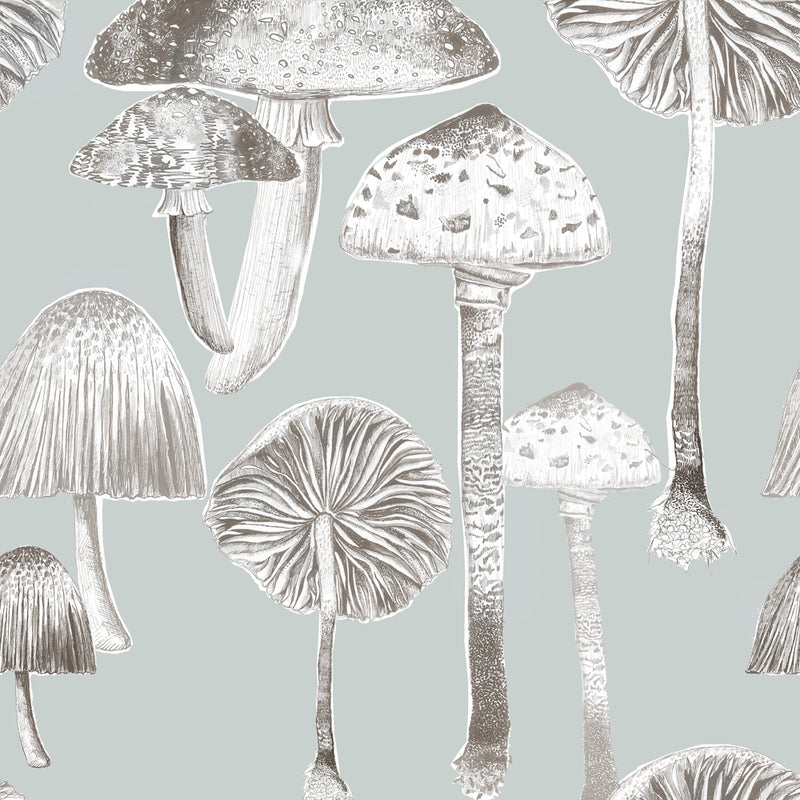 Toadstools Wallpaper Sample Duck Egg