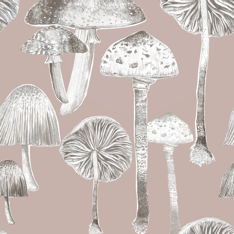 Toadstools Wallpaper Sample Taupe