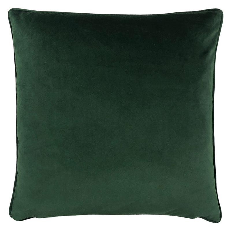 Paoletti Veadeiros Botanical Cushion Cover in Blush