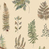 Floral Brown Wallpaper - Verbena  1.4m Wide Width Wallpaper (By The Metre) Mulberry Voyage Maison