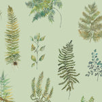 Floral Green Wallpaper - Verbena  1.4m Wide Width Wallpaper (By The Metre) Sage Voyage Maison