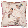 Animal Pink Cushions - Waxwing Trio Printed Cushion Cover Blossom Darren Woodhead