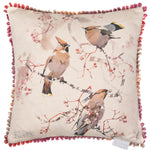 Animal Pink Cushions - Waxwing Trio Printed Cushion Cover Blossom Darren Woodhead